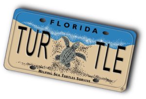 seaturtlelicenseplate_tilted